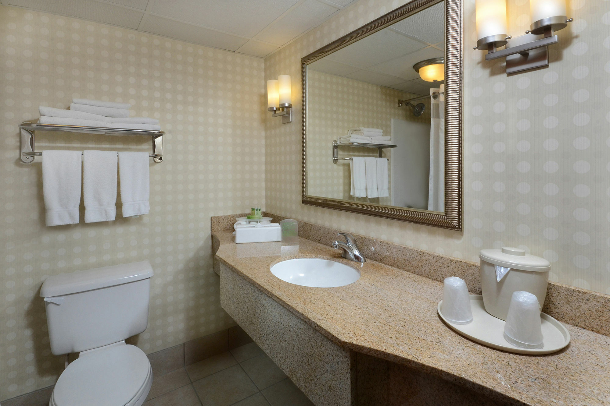 Holiday Inn Express Hotel & Suites Greensboro - Airport Area By Ihg Dış mekan fotoğraf